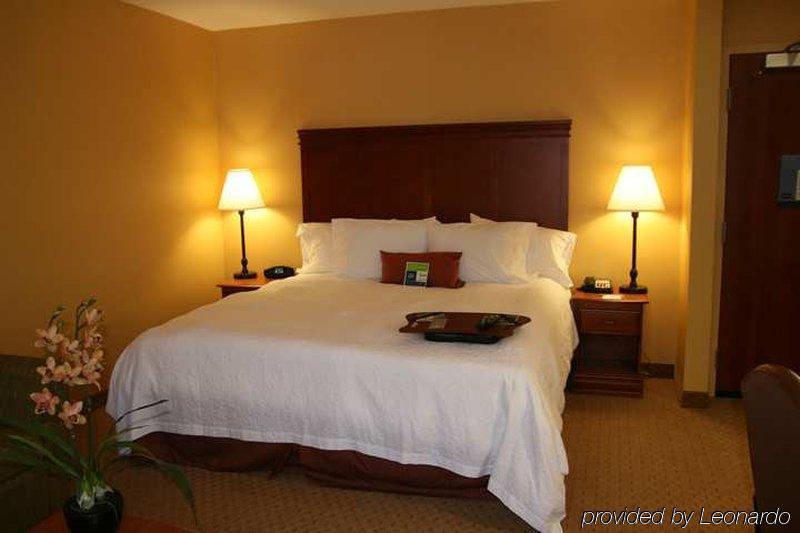 Hampton Inn & Suites Denver-Speer Boulevard Δωμάτιο φωτογραφία